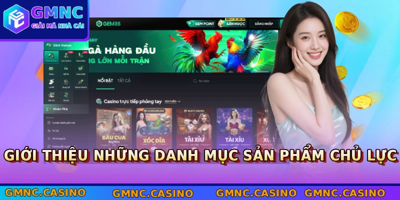 Giới thiệu những danh mục sản phẩm chủ lực